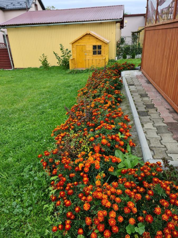 Rodzinny Apartament Na Kaszubach Бруси Екстер'єр фото