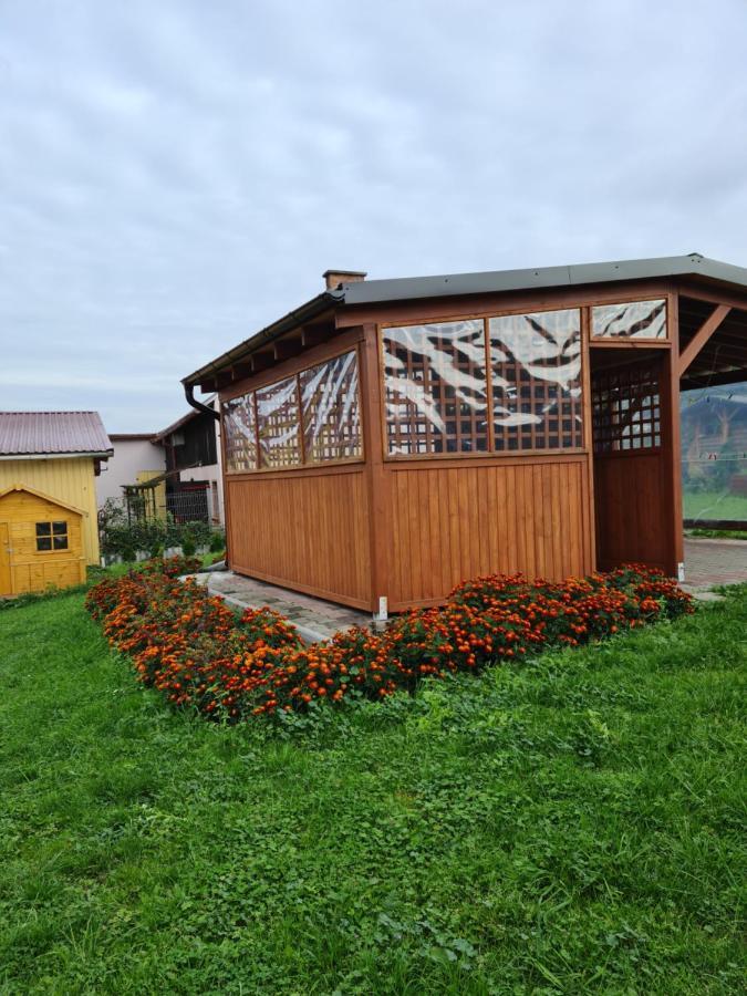 Rodzinny Apartament Na Kaszubach Бруси Екстер'єр фото